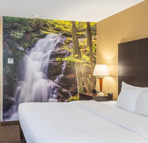 Clarion Pointe Harrisonburg image 7