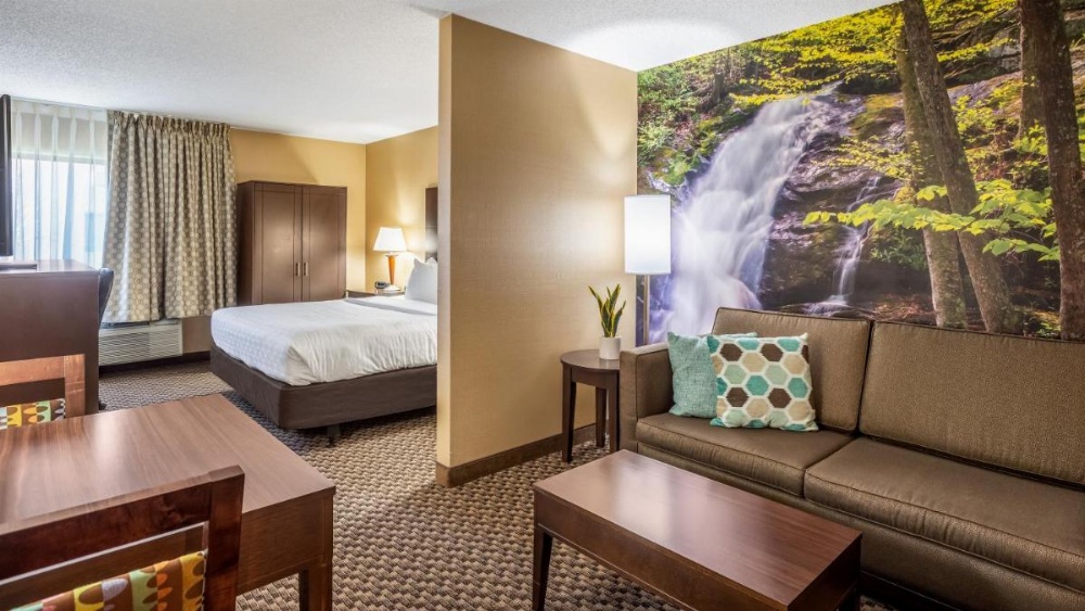 Superior Double Suite with Two Double Beds - Non Smoking/Pet Friendly